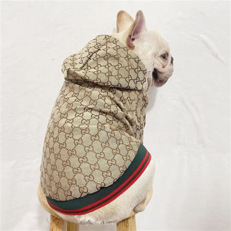 pet gucci kopen|Gucci pet clothing.